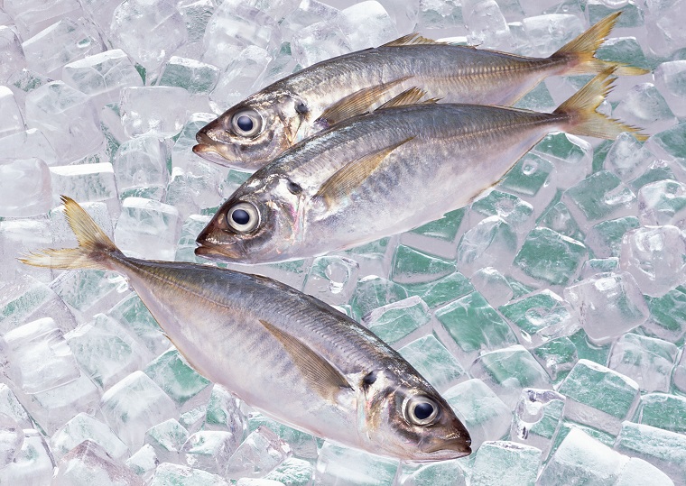 Что можно замораживать в морозильной камере и как это правильно делать - рыба и лёд